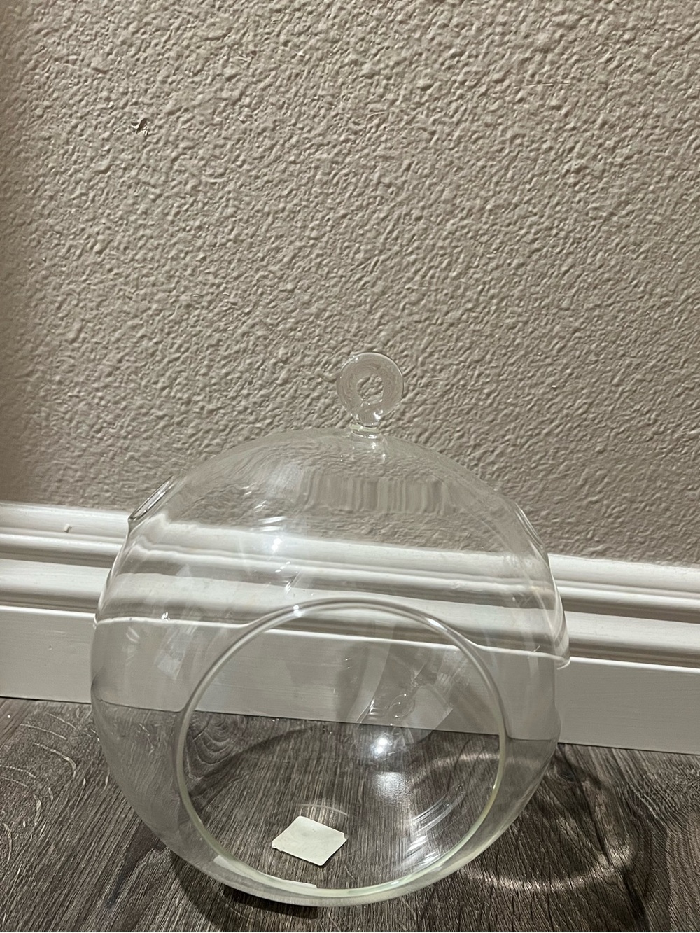 Clear Terrarium